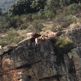 Fotograma del vídeo difundido por Internet.