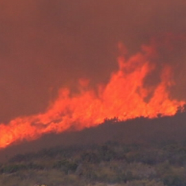 Cientos de personas desalojadas por un incendio forestal en Torrent