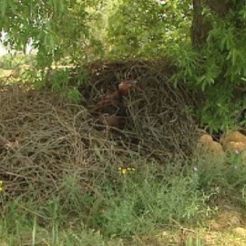 Encuentran ahorcado al presunto autor del doble crimen de Villarejo de Salvanés