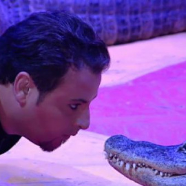 El Parlamento catalán sigue adelante con la prohibición de los animales en el circo