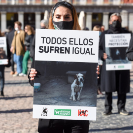 Concentración para no excluir a los perros de caza de la Ley de Protección Animal en la Plaza Mayor, a 30 de enero de 2022, en Madrid (España). -Gustavo Valiente / Europa Press