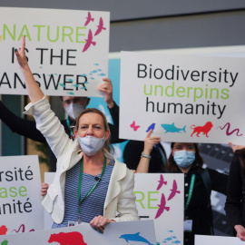  Miembros de WWF protestan durante la COP15 en Montreal. -REUTERS / Christinne Muschi