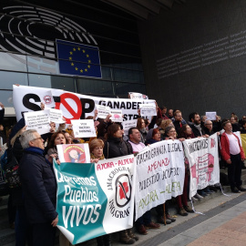 Representantes del medio centenar de entidades que han presentado la queja contra la ganadería industrial ante la UE se manifestaron ante el Parlamento Europeo.
