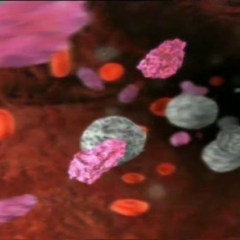 Científicos españoles descubren que una proteína influye en el desarrollo del cáncer