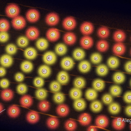 Ilustración de Verónica Montón Alegre.