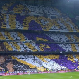 Cada afición en su estadio