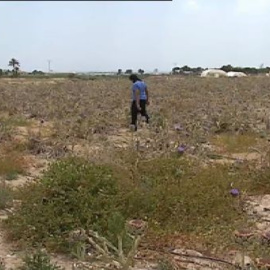 La sequía de los últimos meses empeora la situación de los agricultores españoles