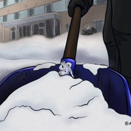 Ilustración: Verónica Montón Alegre