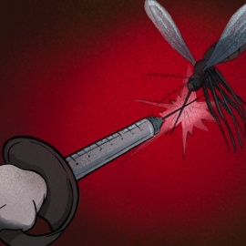  Ilustración de Verónica Montón Alegre.