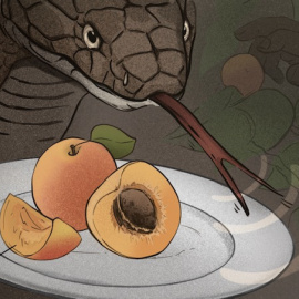 Verónica Montón Alegre. Artista interdisciplinar.