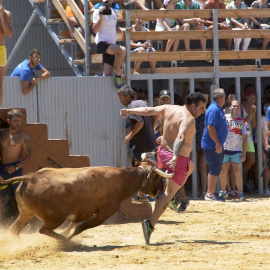 Imagen de archivo de un festejo 'bous al carrer'. EFE/Natxo Francés