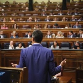 14/09/2022.- El presidente del Gobierno, Pedro Sánchez, durante su intervención en la sesión de control al gobierno celebrada este miércoles en el Congreso. EFE/Juan Carlos Hidalgo
