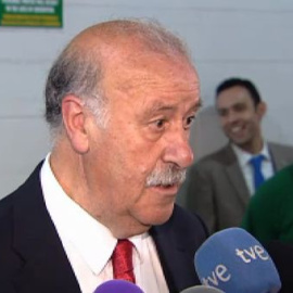 Del Bosque, satisfecho con el partido de España y con el juego de Costa