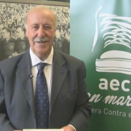 Vicente del Bosque anima a ponerse en marcha contra el cáncer 