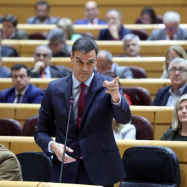 El presidente del Gobierno, Pedro Sánchez, durante su intervención, este martes, en la sesión de control al Gobierno en el Senado, el último pleno de la legislatura. EFE/Kiko Huesca