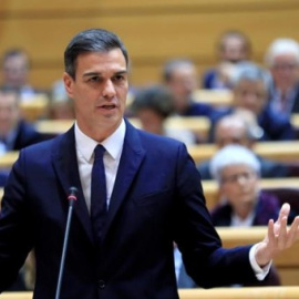 Imatge d'arxiu de Pedro Sánchez al Senat. / EFE