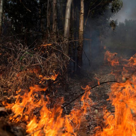 Imágenes de uno de los incendios de Cantabria durante el mes de febrero./EFE
