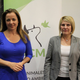 21/04/2019 - Charla tras el estreno de #Powerplant en el Museo Lázaro Galdiano