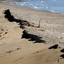  Foto EFE Susanna Sáez