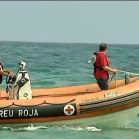 Alerta por tiburones en varias playas del Maresme en Barcelona