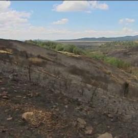 INCENDIO GUADALAJARA
