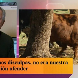 La cadena pública ha reconocido la culpa y ha decidido pedir perdón ante la polémica suscitada.