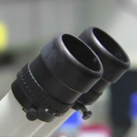 ¿Cómo de cerca puede la ciencia ver la vida? 