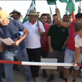 Jornaleros ocupan de nuevo la finca 'Las Turquillas'