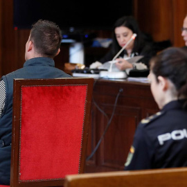 Prisión permanente revisable por asesinar a una mujer tras intentar violarla. JOSÉ MANUEL VIDAL/EFE