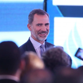 El rey Felipe VI. - EFE