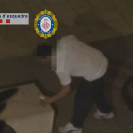 La policía detiene a siete personas que se dedicaban al tráfico de estupefacientes