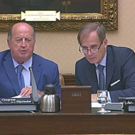 Votación caótica en la aprobación de la Ley de Propiedad Intelectual