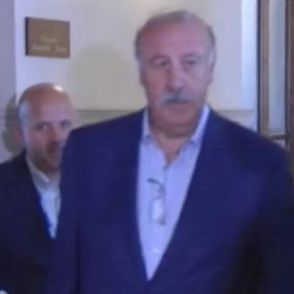 Del Bosque analiza lo ocurrido en Brasil
