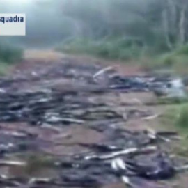 Desarticulado un grupo criminal que robaba cable telefónico en Girona