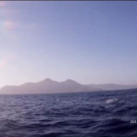 Avistado en las costas almerienses un cachalote de diez toneladas