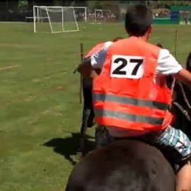La carrera de burros más entretenida
