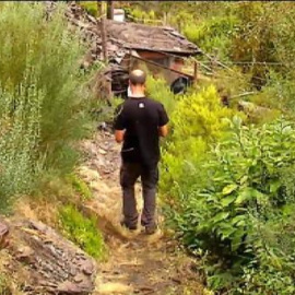 Unos osos muy golosos se dejan ver en una aldea de Lugo