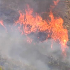 Un incendio quema unas 200 hectáreas en Los Montes de Málaga