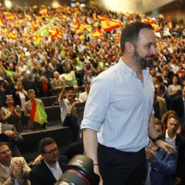 El líder de Vox, Santiago Abascal. - EFE