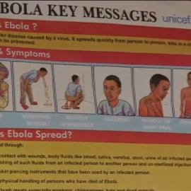 Las farmacéuticas, a la carrera de la vacuna del 