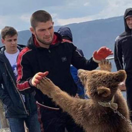 Khabib Nurmagomedov peleando con el osezno. (Instagram)