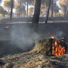 Más de 200 personas y 15 medios aéreos apagan los últimos restos del incendio de Cartaya