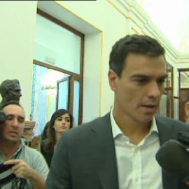 Pedro Sánchez: "Hoy es un día para la convivencia"