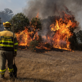 (18/7/22) Varios bomberos trabajan en la extinción del fuego del incendio de Losacio, a 18 de julio de 2022, en Pumarejo de Tera, Zamora, Castilla y León (España).