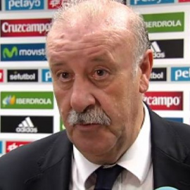 Del Bosque: "Hemos recobrado el tono futbolístico"