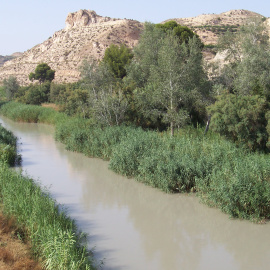 Fotografía del río Segura a su paso por Murcia.