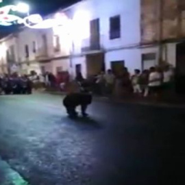 Denunciado un domador borracho por maltrato animal contra su oso en unas fiestas patronales