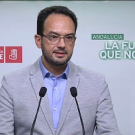 "No hay derecho a que el presidente Mas se vaya a saltar el Estado de Derecho"