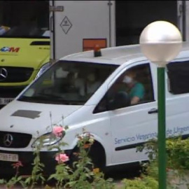 La Consejería de Sanidad de Madrid sacrificó a Excalibur después de sedarlo