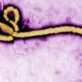 El riesgo de contagio del 